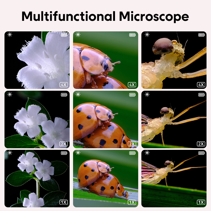 Mini optische microscoop voor  - Kids Education World recensie en prijs